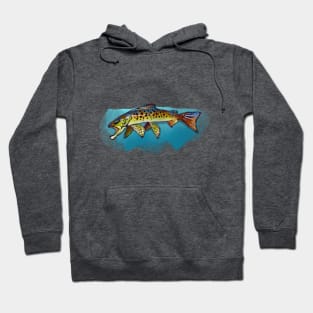 Slim Line Trout Hoodie